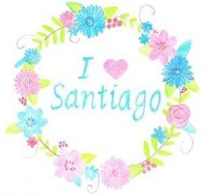 Donations I Love Santiago LOGO